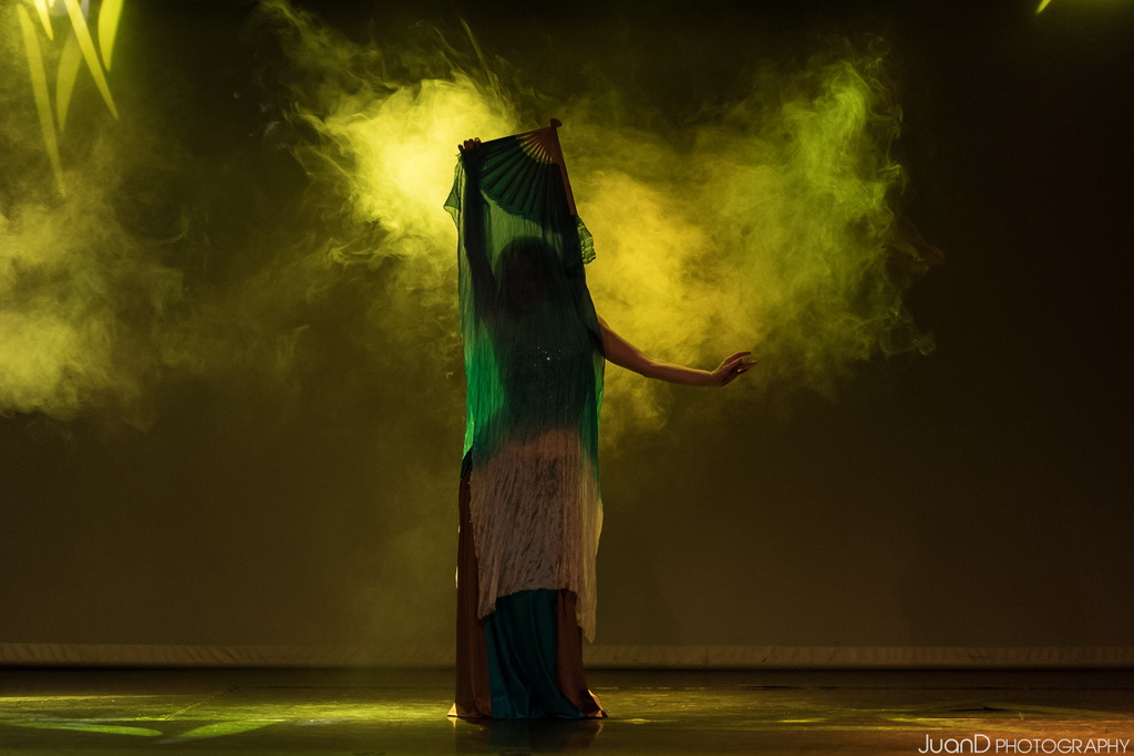 Tarabesque Essence Gala #espectaculo #danzaoriental #bellydance #orientaldance #fotografo